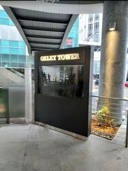 Oxley Tower (D1), Shop House #502548091